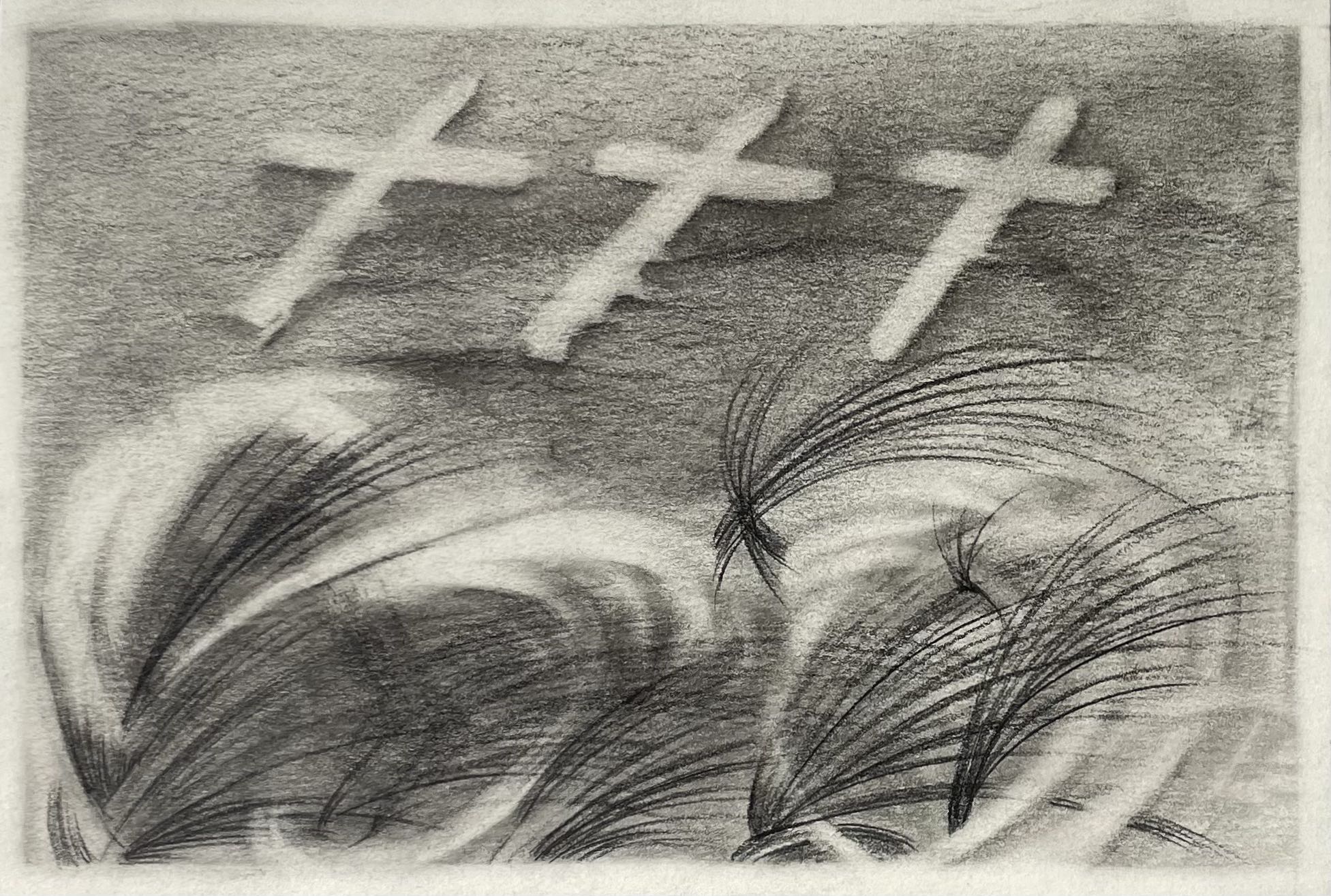 Drawings by Sarah Neumann